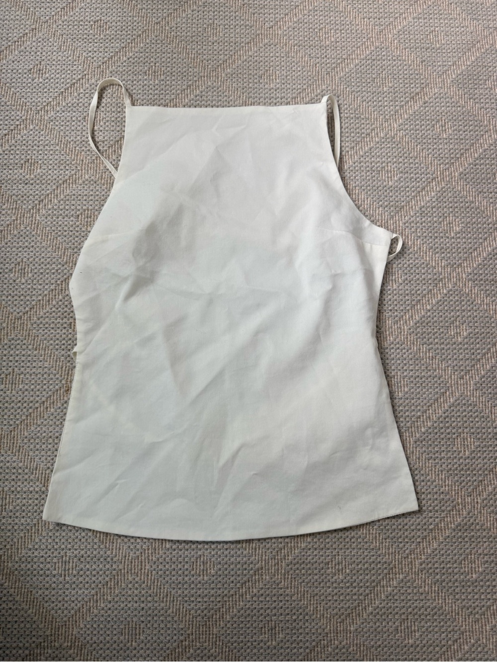 Zara Backless High-Neck Camisole
